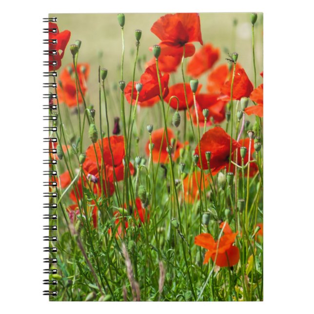 Red poppy field view notebook (Front)
