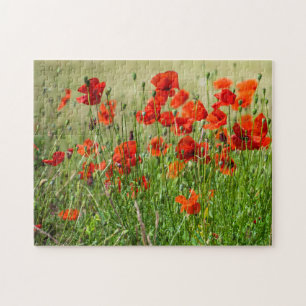 Red poppy field view puzzle