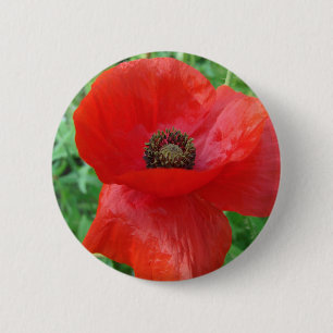 Red Poppy Flower 6 Cm Round Badge