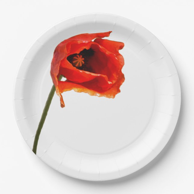 Red poppy flower paper plate (Front)