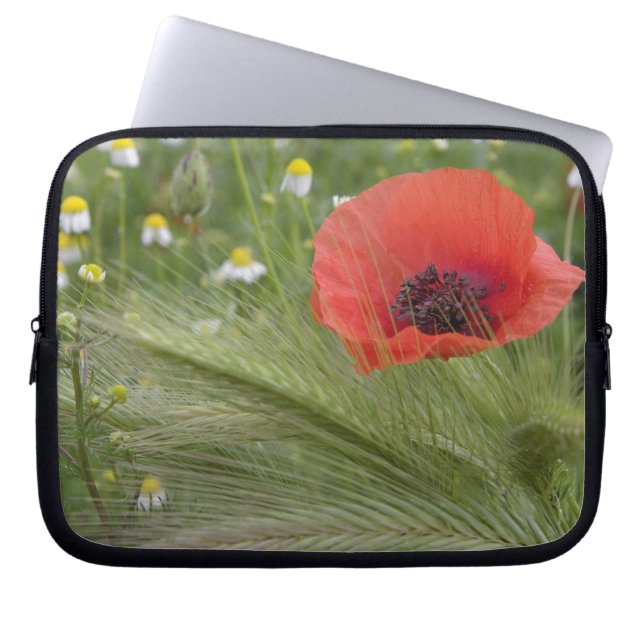 Red poppy flower, Tuscany, Italy Laptop Sleeve (Front)