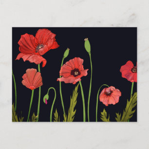 Red poppy flower watercolor floral postcard