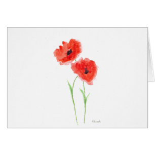 Red poppy flowers