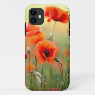 Red Poppy Flowers iPhone 11 Case