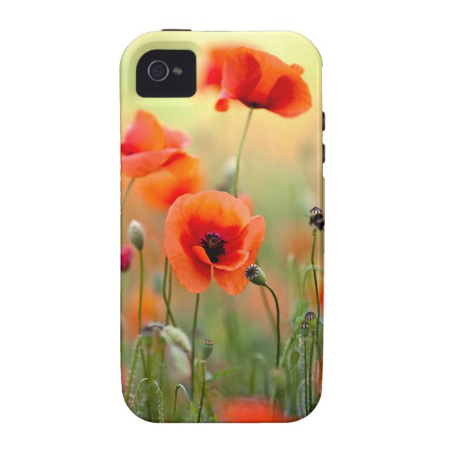 Red Poppy Flowers Case-Mate iPhone Case