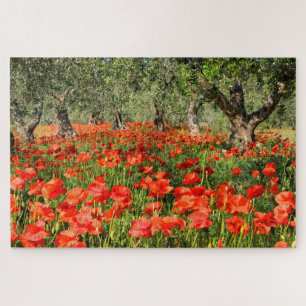 Red poppy flowers under old olive trees jigsaw puzzle
