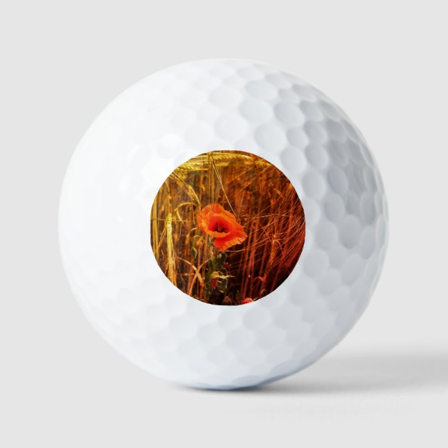 Red Poppy In Golden Wheat Field Thanksgiving Golf Balls (Front)