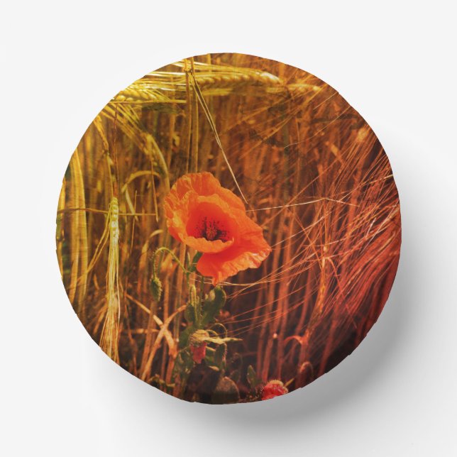 Red Poppy In Golden Wheat Field Thanksgiving Paper Plate (Front)