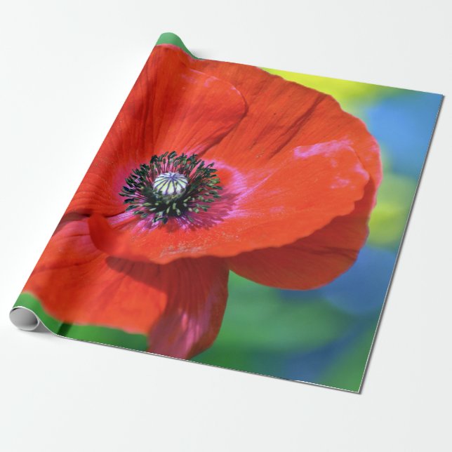 Red Poppy in the Sunshine Photograph Wrapping Paper (Unrolled)