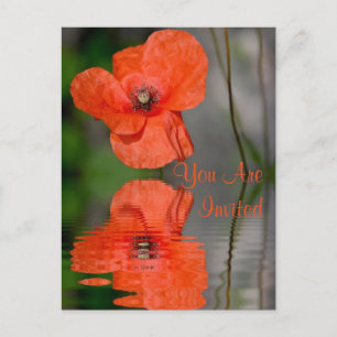 Red Poppy Invitation Postcard