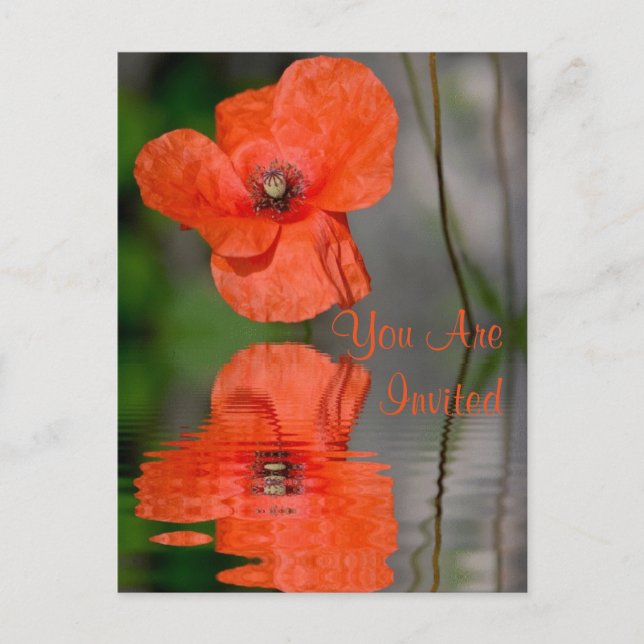 Red Poppy Invitation Postcard (Front)