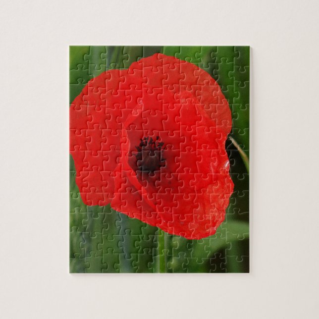 Red poppy jigsaw puzzle (Vertical)