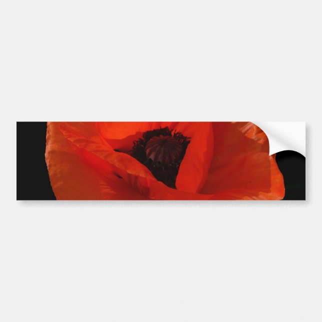Red Poppy Macro Bumper Sticker (Front)