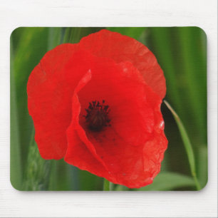 Red poppy mouse pad