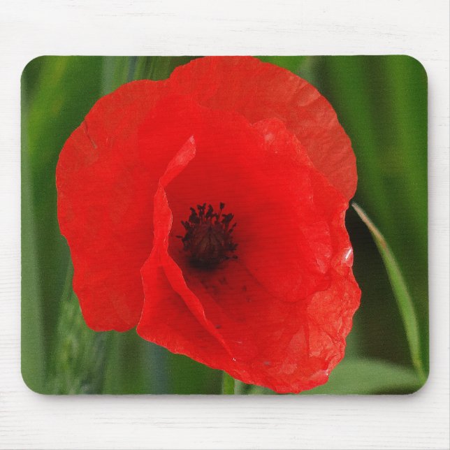 Red poppy mouse pad (Front)