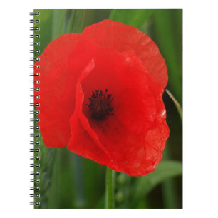 Red poppy notebook