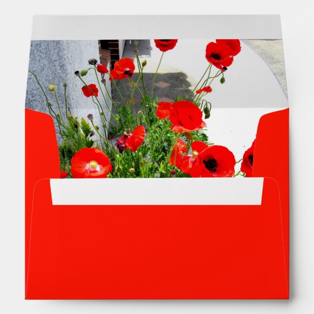 Red poppy photo envelope (Back (Bottom))