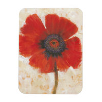 Red Poppy Portrait