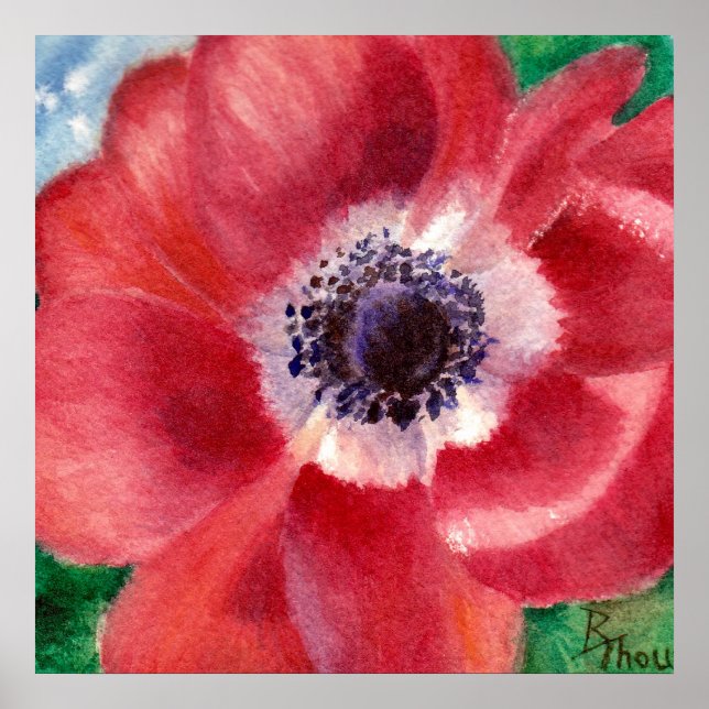 Red Poppy Poster (Front)