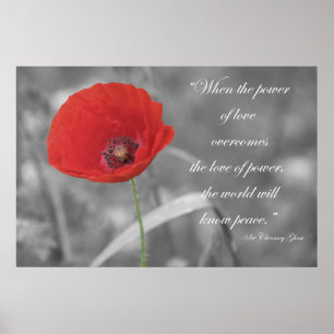 Red Poppy Poster Print