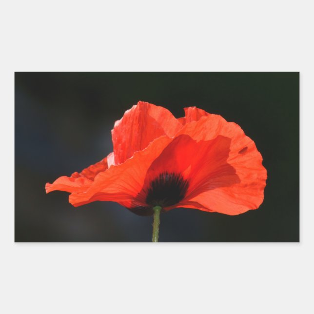Red Poppy Rectangular Sticker (Front)