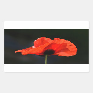 Red Poppy Rectangular Sticker