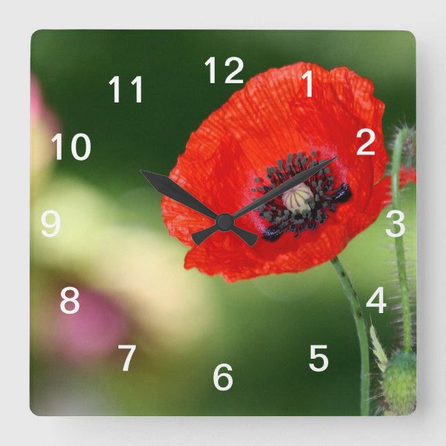 Red Poppy Seed Wall Clock (Front)