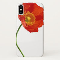 Red Poppy Simplicity