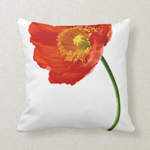 Red Poppy Simplicity Cushion