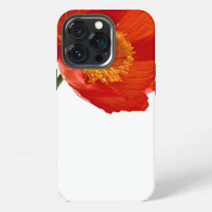 Red Poppy Simplicity iPhone Case