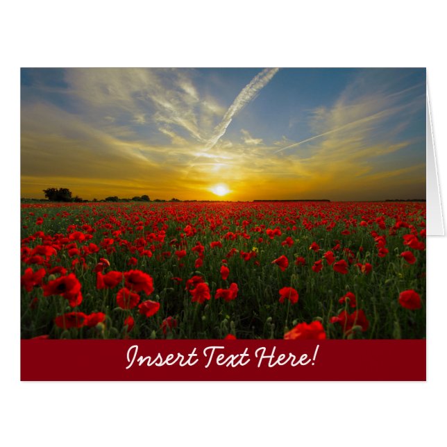 Red Poppy Sunset (Front Horizontal)