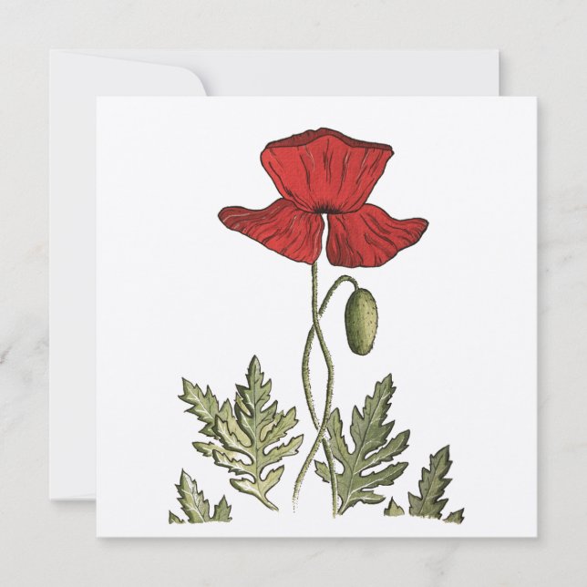 Red Poppy Thank You Card (Front)