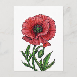 Red poppy, watercolor and ink postcard