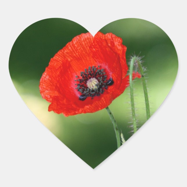 Red Poppyseed Flower Sticker (Front)