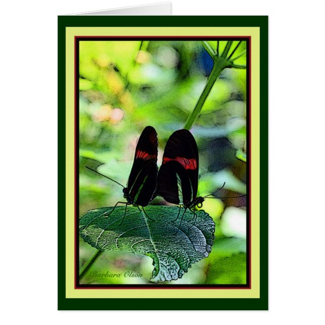 Red Postman: butterfly (Front)