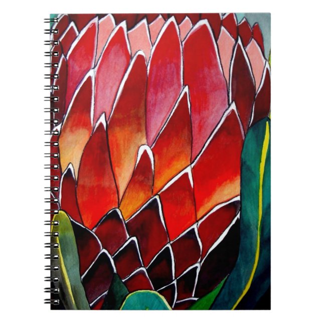 Red Protea flower original watercolour art Notebook (Front)