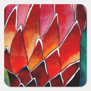 Red Protea flower original watercolour art Square Sticker