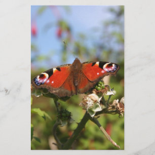 Red Purple Black Butterfly on a Berry Plant Stationery
