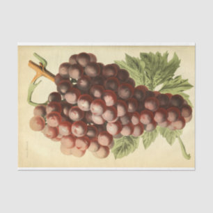Red Purple Grape Wine Ephemera Decoupage Tissue Paper