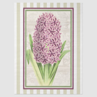 Red Purple Hyacinth n Gold Stripes Botanical Art  Tissue Paper