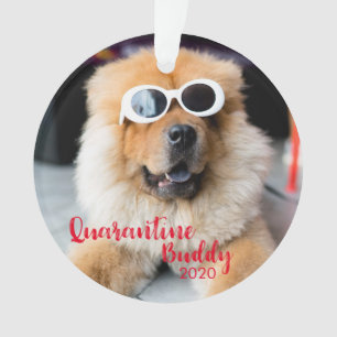 Red Quarantine Buddy Dog Photo Christmas Ornament