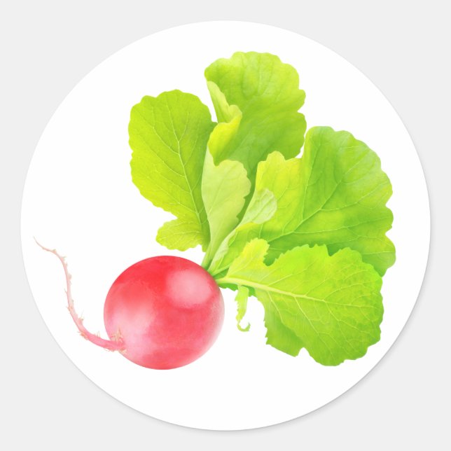 Red radish classic round sticker (Front)