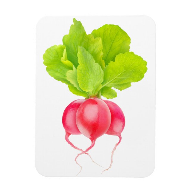 Red radishes magnet (Vertical)