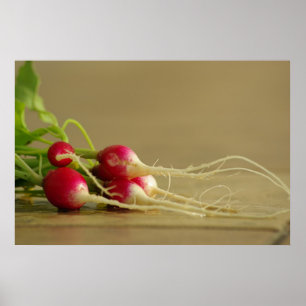 Red Radishes Poster
