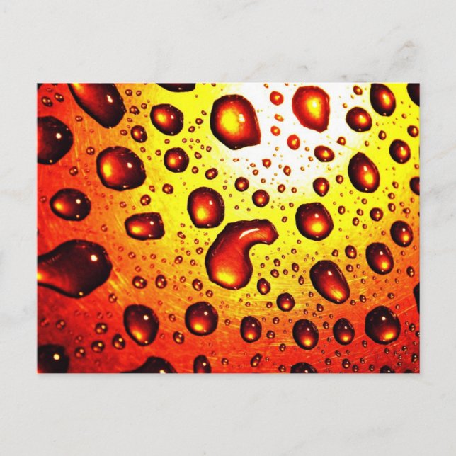 Red Rain Drops Postcard (Front)