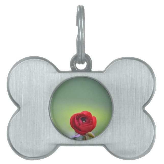 Red Ranunculus Blossom Pet ID Tag (Front)