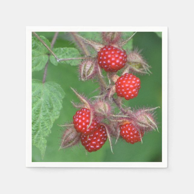 Red Raspberries Paper Napkin (Front)