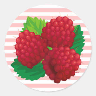 Red Raspberries Sticker