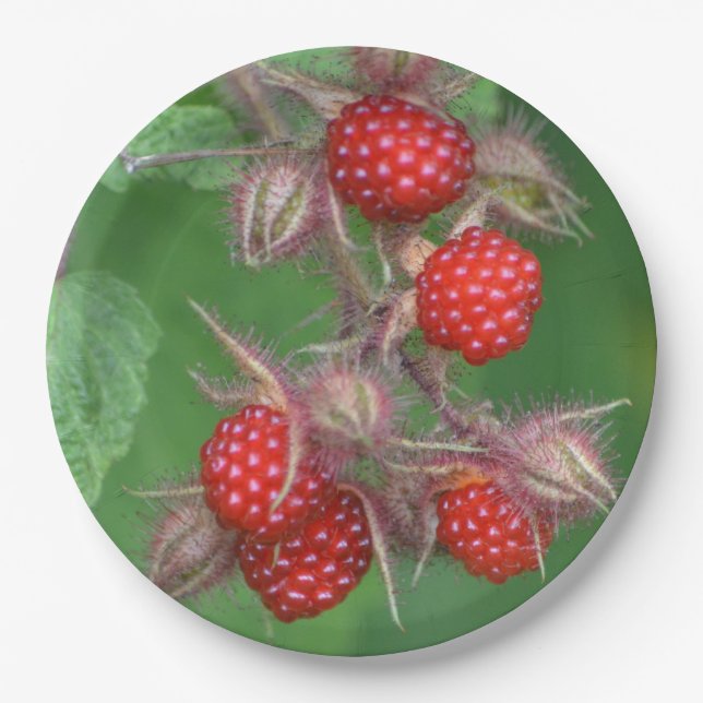 Red Raspberry Paper Plate (Front)
