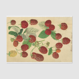 Red Raspberry Script Ephemera Decoupage Tissue Paper